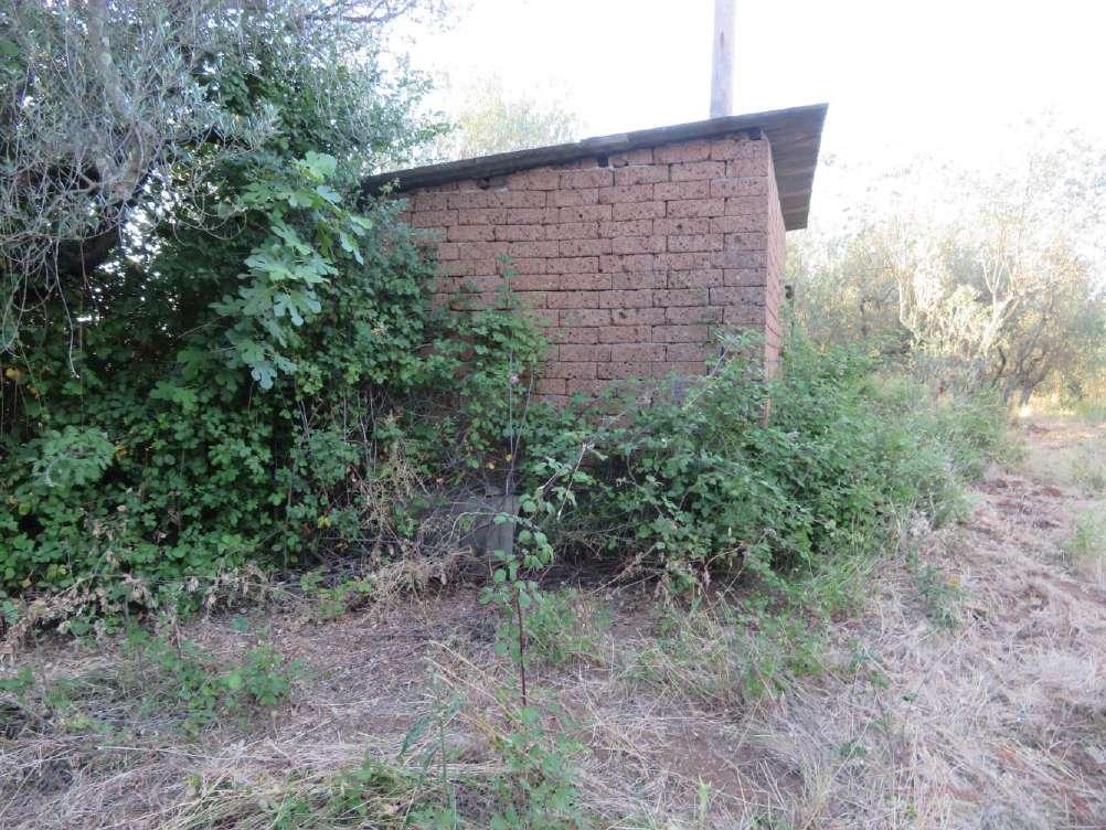immobile magazzino all'asta in Localita' Doganella snc - 01019 Vetralla (VT) - 1