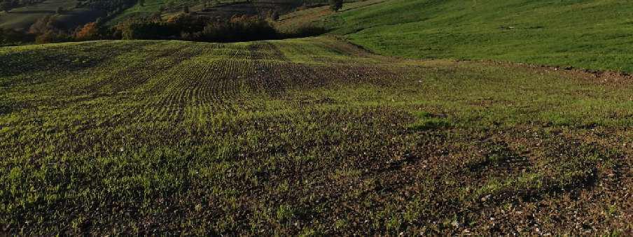 immobile terreno all'asta in Cda Macchia - 82020 Circello (BN) - 1