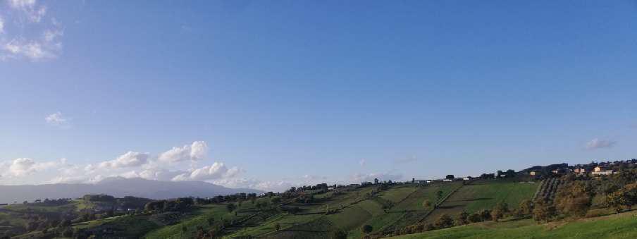 immobile terreno all'asta in Cda Macchia - 82020 Circello (BN) - 2