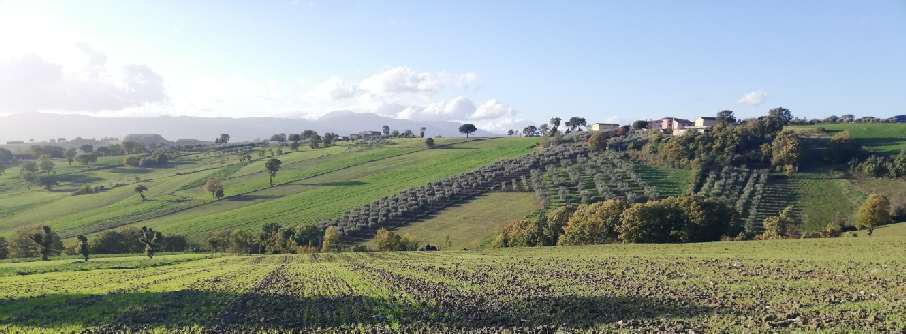 immobile terreno all'asta in Cda Macchia - 82020 Circello (BN) - 4