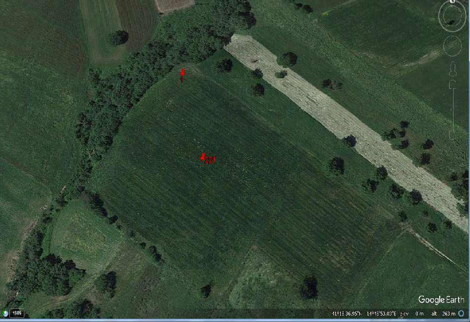 immobile terreno all'asta in Cda Macchia - 82020 Circello (BN) - 5