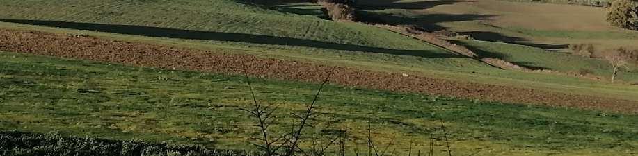 immobile terreno all'asta in 82020 Reino (BN) - 1