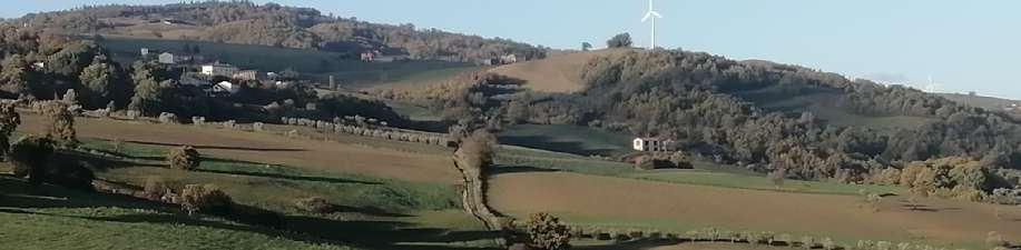 immobile terreno all'asta in 82020 Reino (BN) - 2