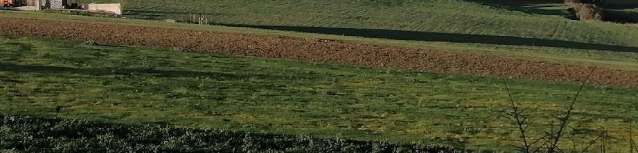 immobile terreno all'asta in 82020 Reino (BN) - 4