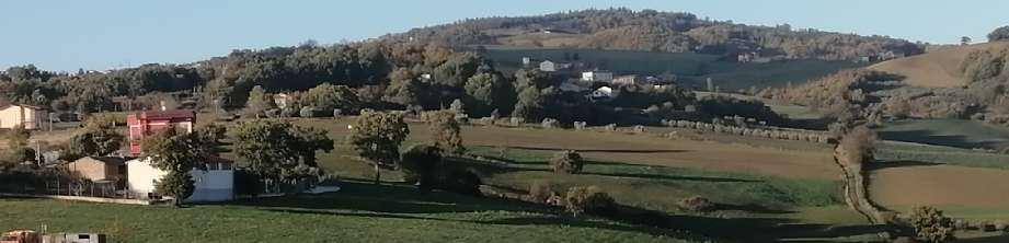 immobile terreno all'asta in 82020 Reino (BN) - 5