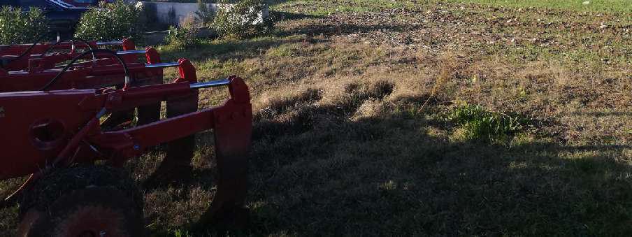 immobile terreno all'asta in Cda Macchia - 82020 Circello (BN) - 1