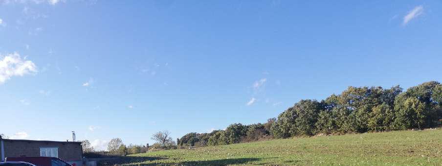 immobile terreno all'asta in Cda Macchia - 82020 Circello (BN) - 2