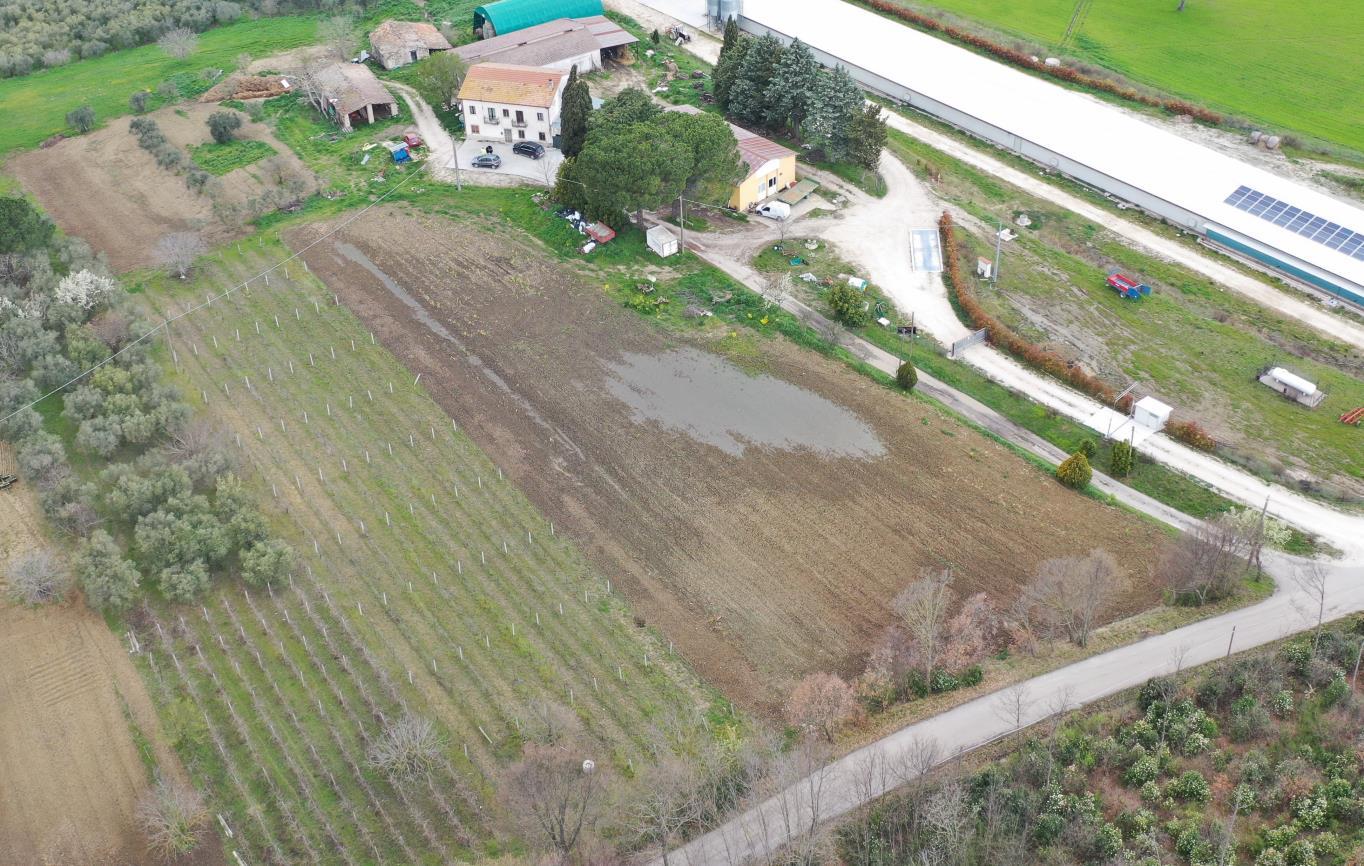 immobile terreno all'asta in 82020 Circello (BN) - 3