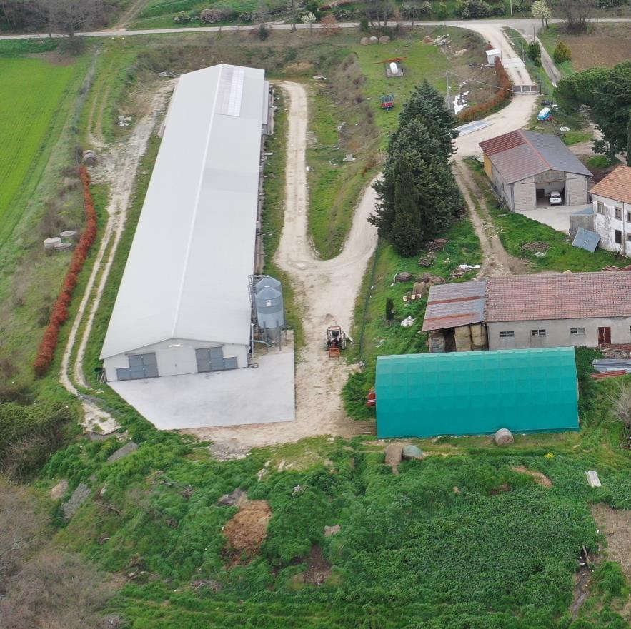 immobile terreno all'asta in 82020 Circello (BN) - 2
