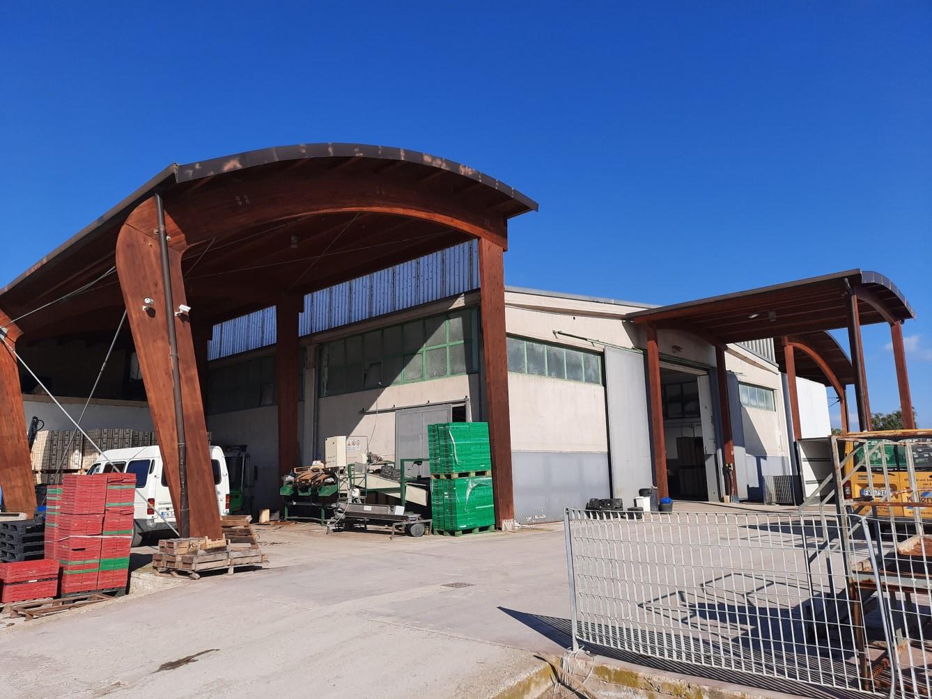 immobile attivita commerciale all'asta in contrada cacace  - Zapponeta (FG) - 3