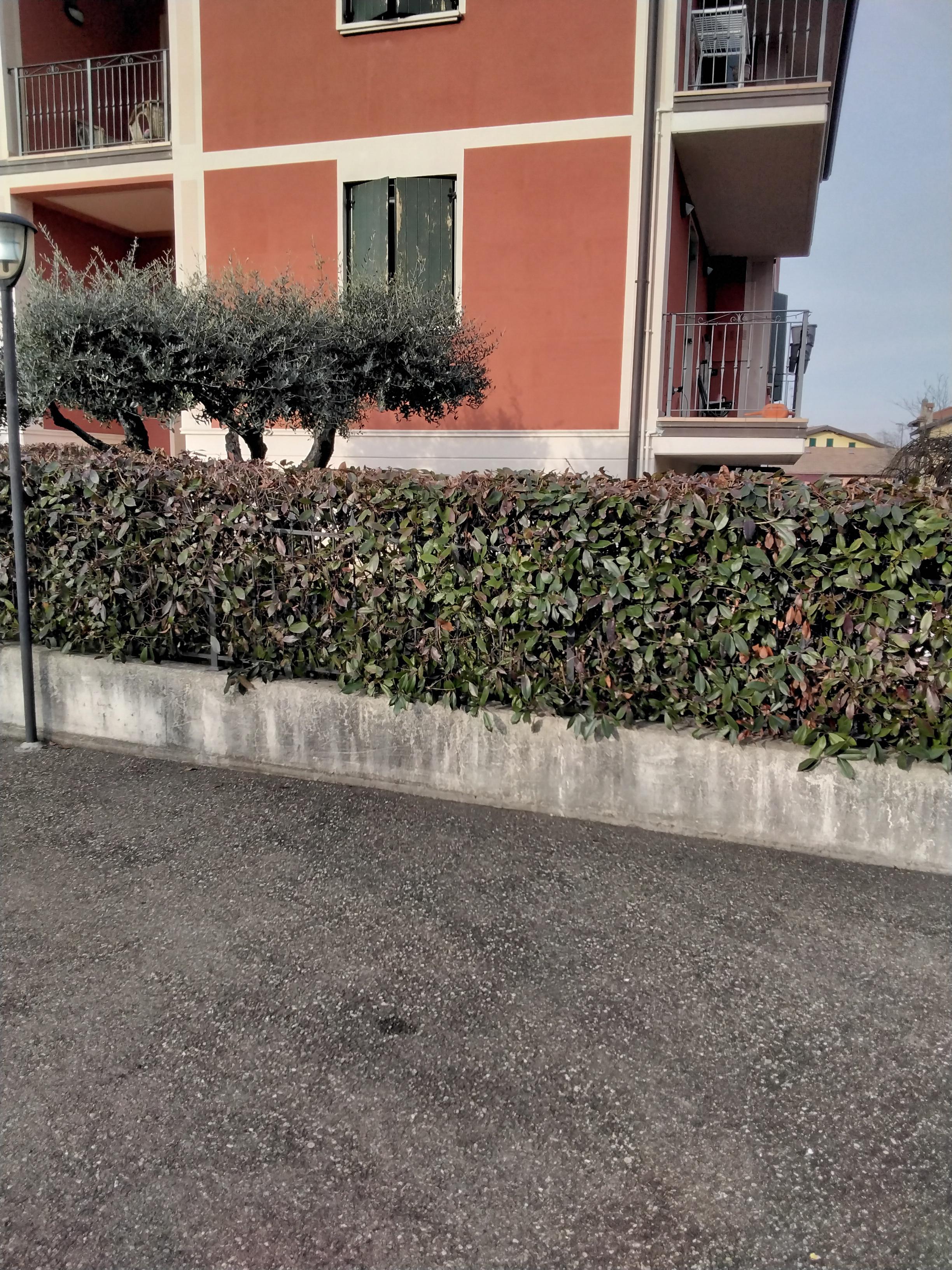 immobile appartamento all'asta in Via A Balletti, 2 - 42020 Quattro Castella (RE) - 4