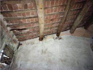 immobile appartamento all'asta in Via Zelo, 1522 - 45030 Ceneselli (RO) - 2