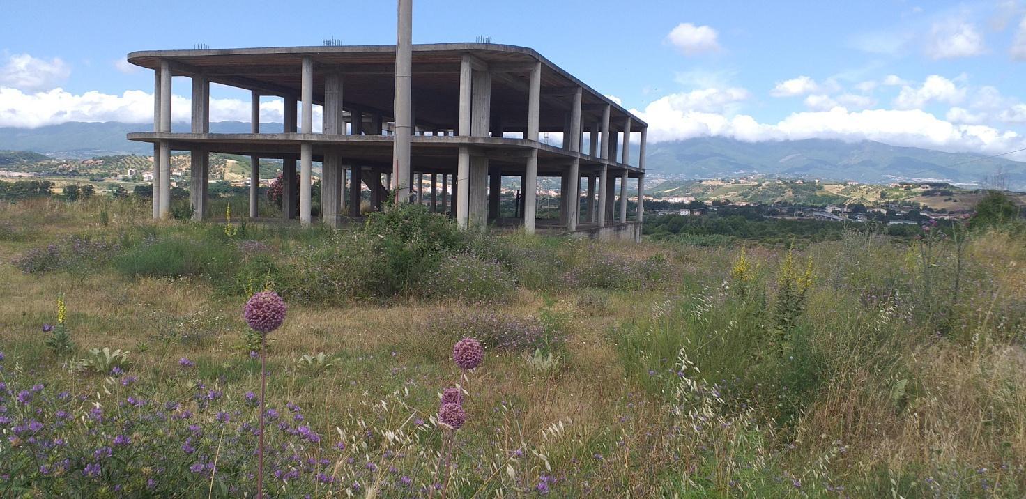 immobile terreno all'asta in Contrada Linze Gidora, snc - 87040 Luzzi (CS) - 4