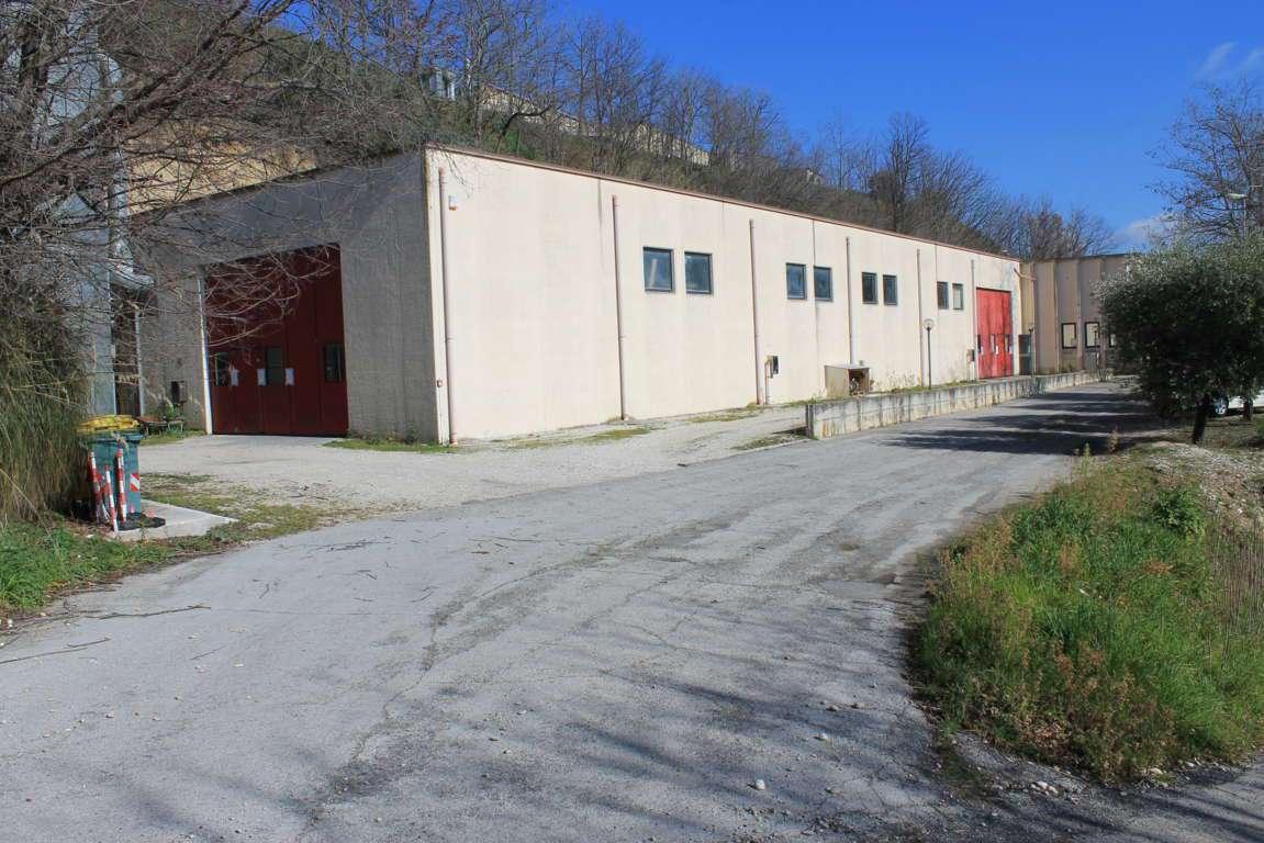 immobile attivita commerciale all'asta in contrada capo di termine - 63065 Ripatransone (AP) - 1