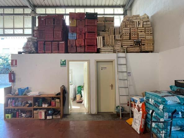 immobile attivita commerciale all'asta in Via INDUSTRIALE SNC - 98060 Piraino (ME) - 5