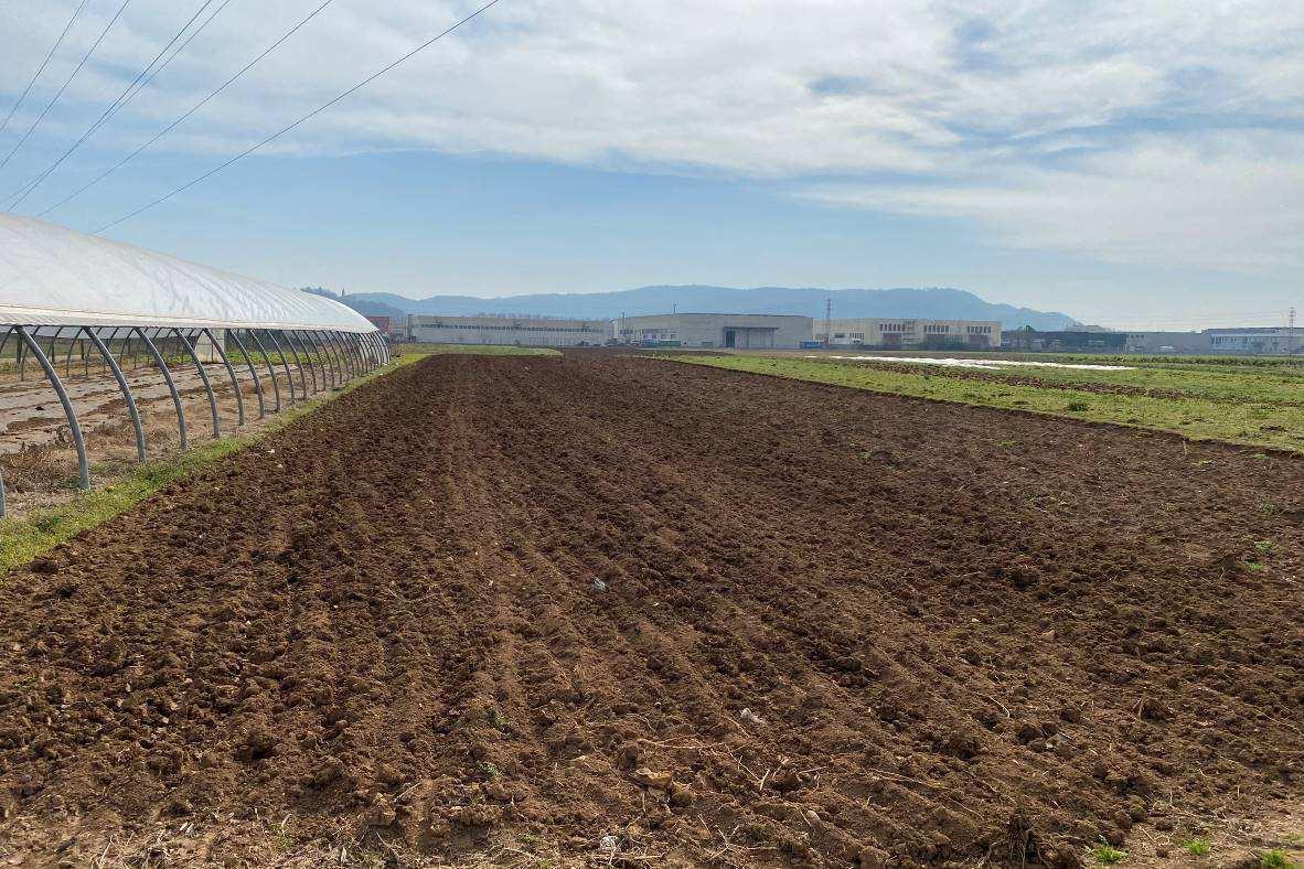 immobile terreno all'asta in Via Spino - 36051 Creazzo (VI) - 3