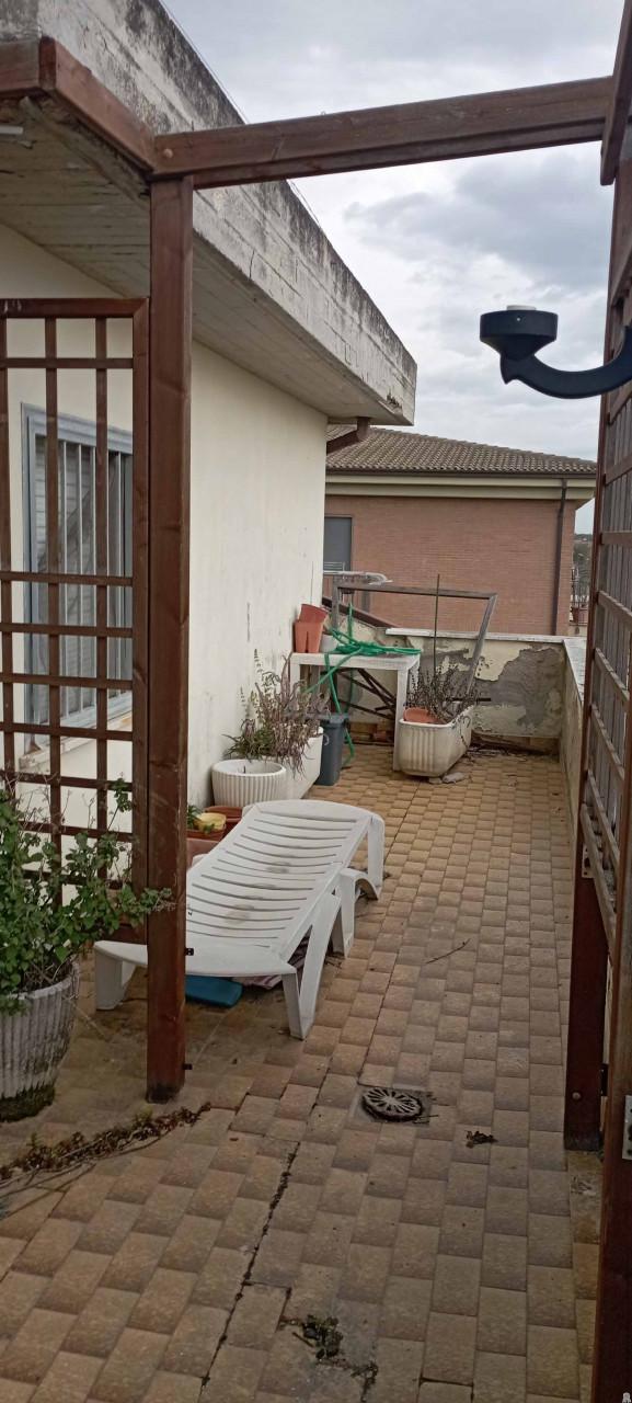 immobile APPARTAMENTO ALL'ASTA IN VIA A MORO, PEDASO (FM) - 4