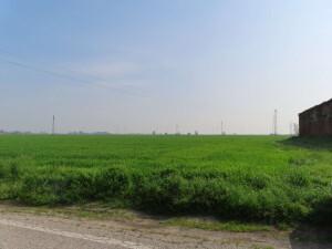 immobile terreno all'asta in Via Zona Industriale, 155-157-159-161 - 45010 Villadose (RO) - 1