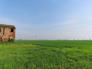 immobile terreno all'asta in Via Zona Industriale, 155-157-159-161 - 45010 Villadose (RO) - 2