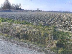 immobile terreno all'asta in Via Selva, 66 - 45030 Crespino (RO) - 1