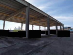 immobile attivita commerciale all'asta in Via Eridania, 48 - 45030 Occhiobello (RO) - 5