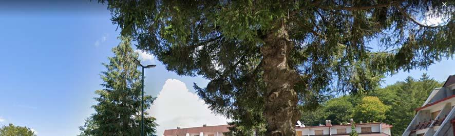 immobile appartamento all'asta in Via Serroncelli, 83043 Laceno AV, Italia - 83043 Bagnoli Irpino (AV) - 5