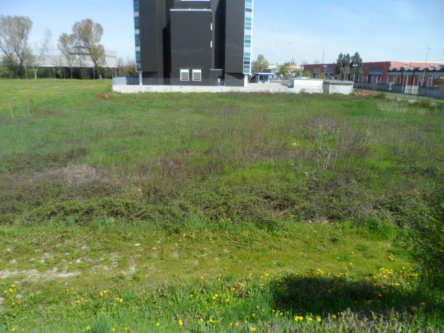 immobile terreno all'asta in via galileo galilei 3 / sp ex ss11 - Pero (MI) - 1