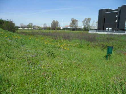 immobile terreno all'asta in via galileo galilei 3 / sp ex ss11 - Pero (MI) - 5