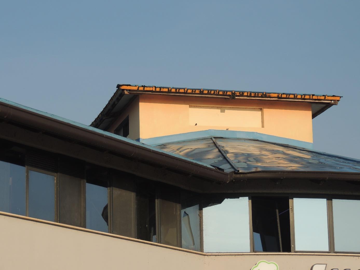 immobile attivita commerciale all'asta in Via della Stazione 9 - 27028 San Martino Siccomario (PV) - 5