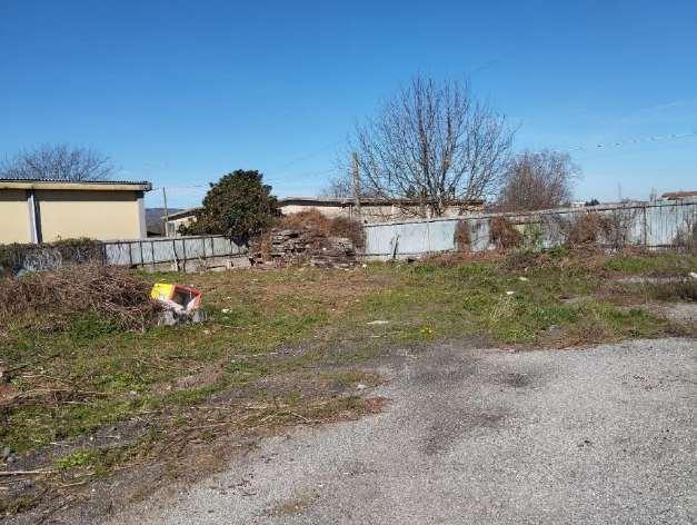 immobile terreno all'asta in Zona Industriale - 87050 Mangone (CS) - 3