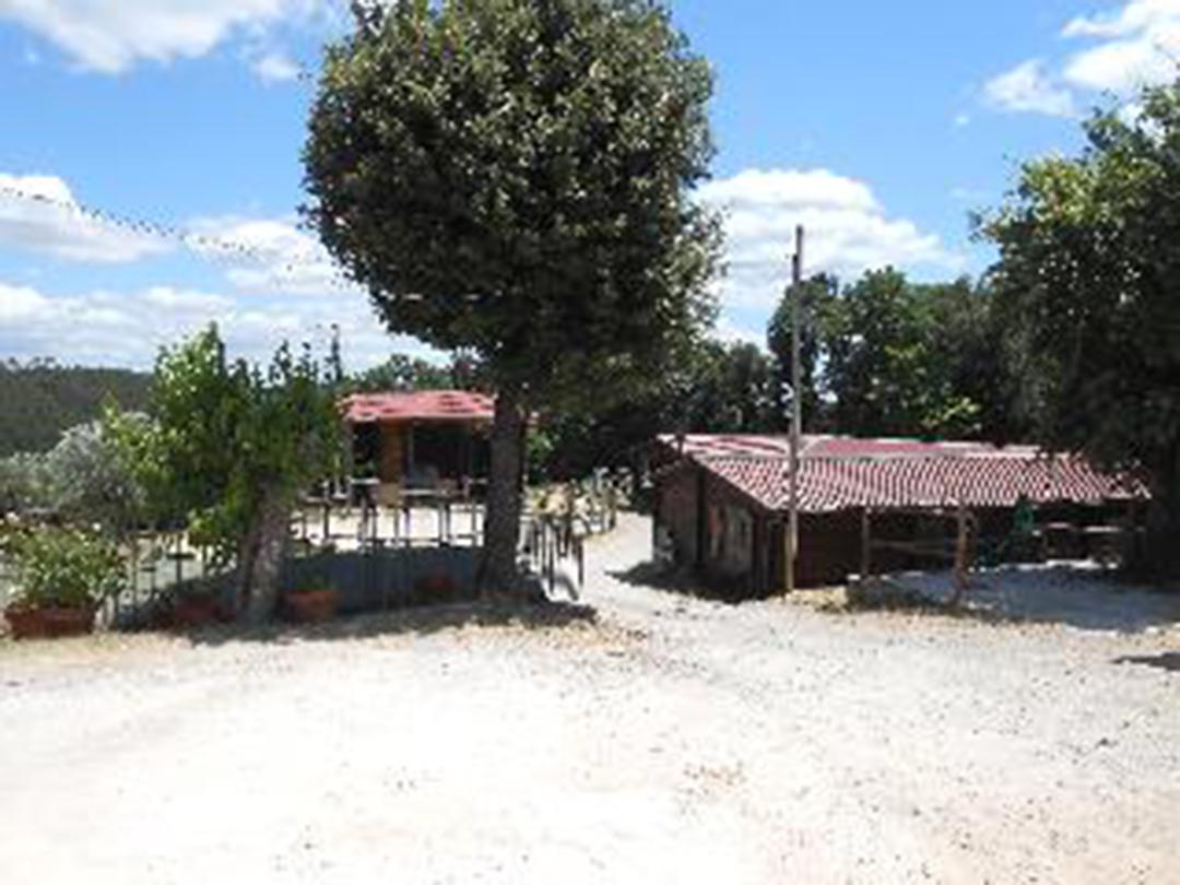 immobile rustico all'asta in Località Podere La Ripa - 53015 Monticiano (SI) - 1