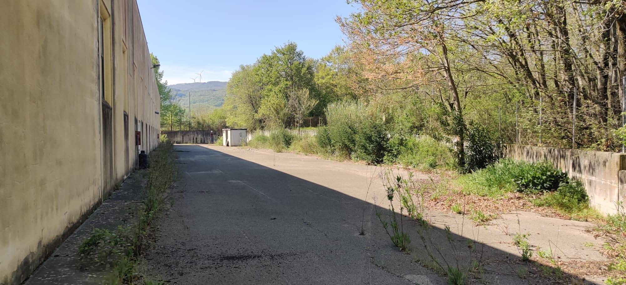 immobile attivita commerciale all'asta in Cda Pianella snc  - 82026 Sassinoro (BN) - 1