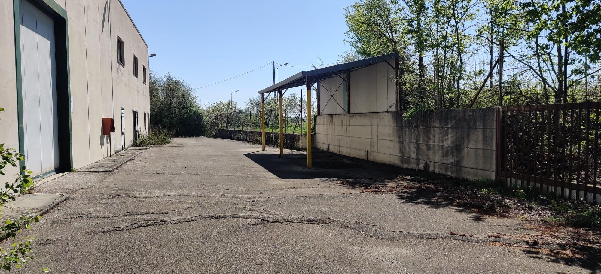 immobile attivita commerciale all'asta in Cda Pianella snc  - 82026 Sassinoro (BN) - 2