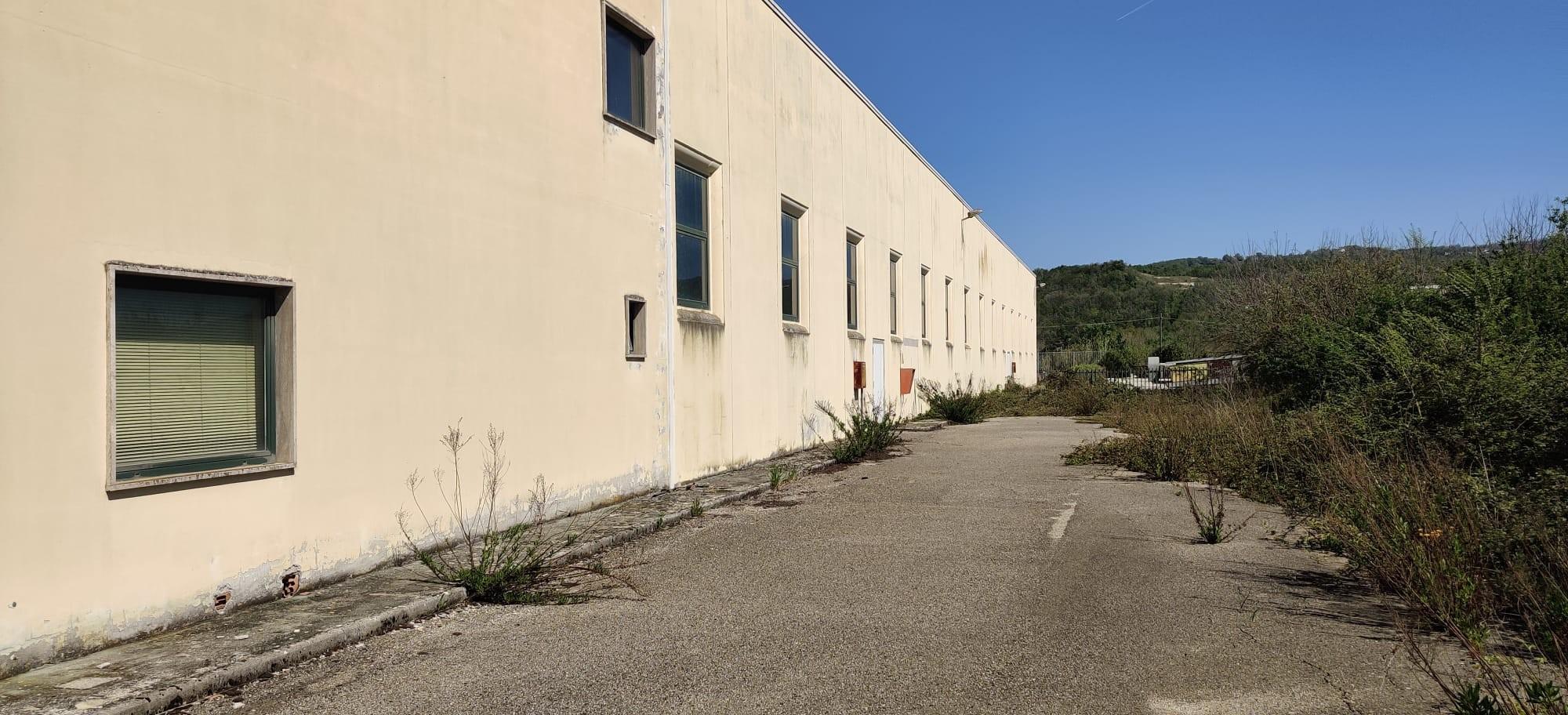 immobile attivita commerciale all'asta in Cda Pianella snc  - 82026 Sassinoro (BN) - 3