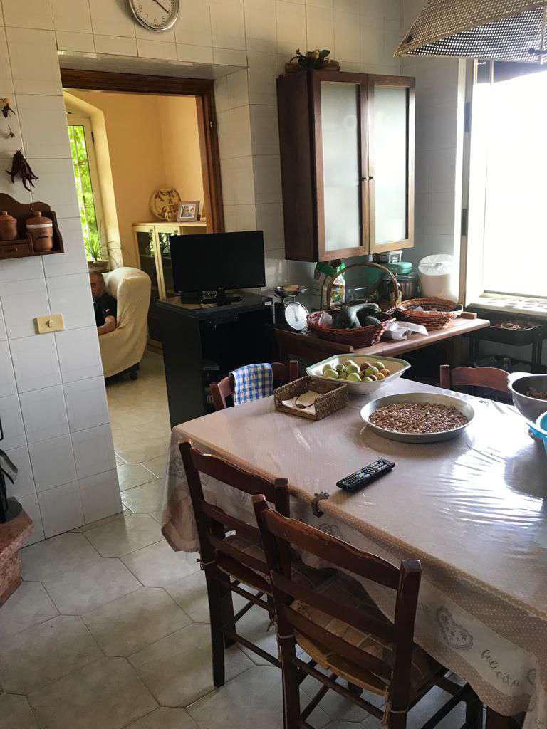 immobile APPARTAMENTO ALL'ASTA IN VIA CESINE, SAN GIORGIO DEL SANNIO (BN) - 3
