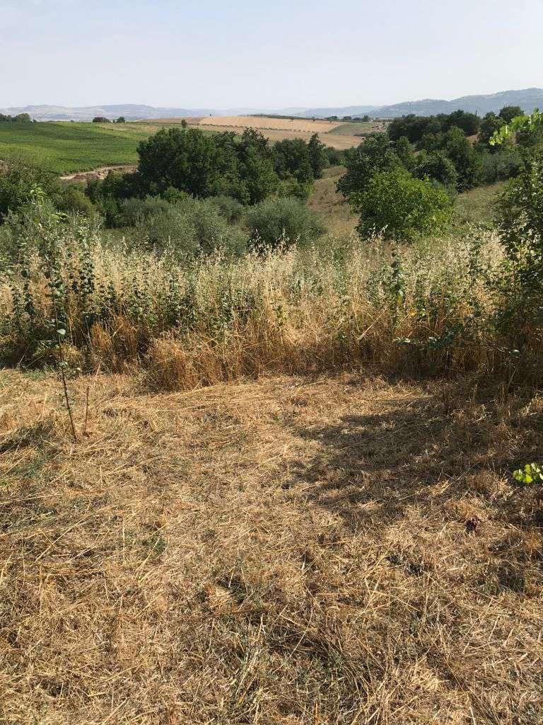immobile terreno all'asta in via Cesine - 82018 San Giorgio del Sannio (BN) - 3