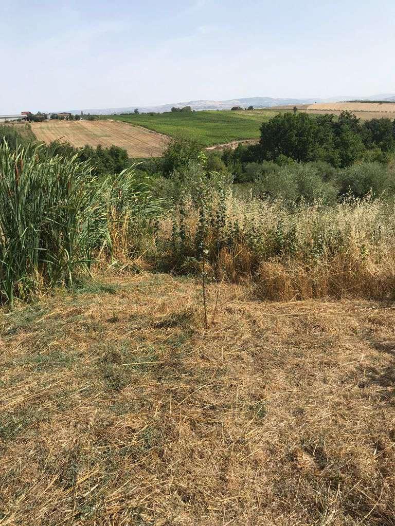immobile terreno all'asta in via Cesine - 82018 San Giorgio del Sannio (BN) - 4
