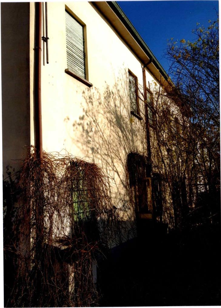 immobile appartamento all'asta in Via Di Mezzo, 1231 - 45030 Ceneselli (RO) - 4