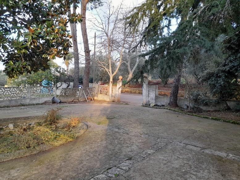 immobile appartamento all'asta in Contrada Colacurto snc - 72012 Carovigno (BR) - 4