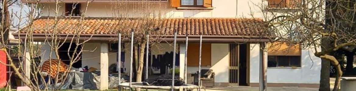 immobile terreno all'asta in Via Cavin Maggiore - 30030 Pianiga (VE) - 2