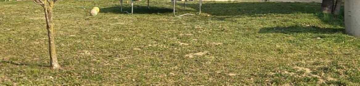 immobile terreno all'asta in Via Cavin Maggiore - 30030 Pianiga (VE) - 3