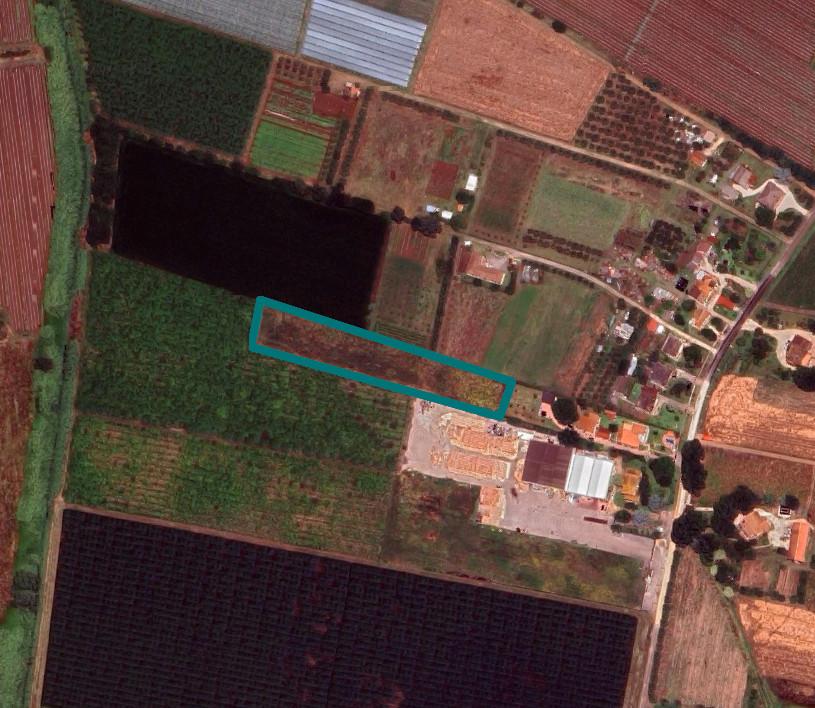 immobile terreno all'asta in Via Roselli, 04011 Aprilia LT, Italia Aprilia, Latina - 1