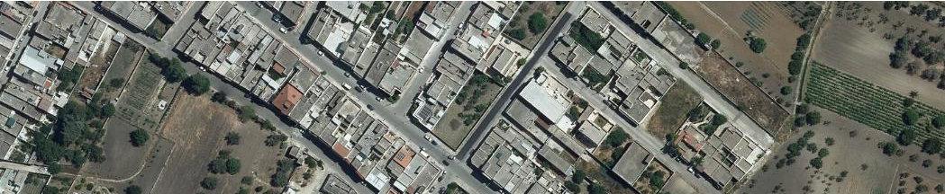 immobile terreno all'asta in 72025 San Donaci (BR) - 2