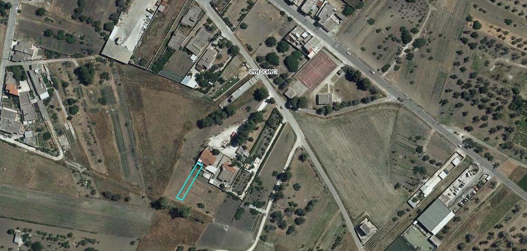 immobile terreno all'asta in 72025 San Donaci (BR) - 3
