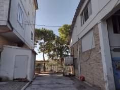 immobile attivita commerciale all'asta in VIA S ANTONIO - 63815 Monte San Pietrangeli (FM) - 2
