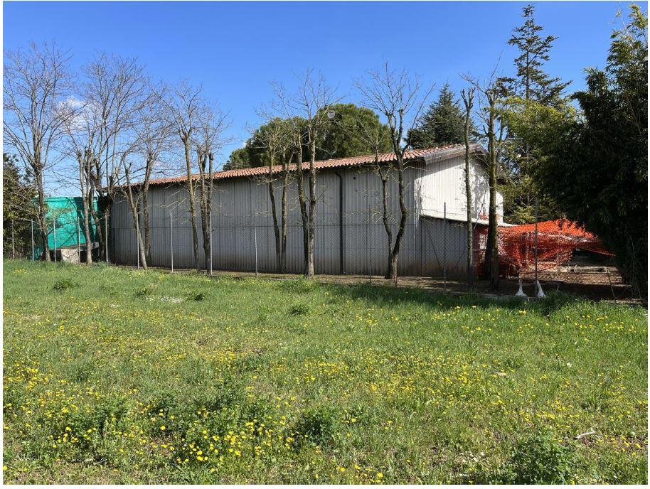 immobile magazzino all'asta in Via Don C Bellini, 15, 37040 Crosare VR, Italia - 37040 Pressana (VR) - 4