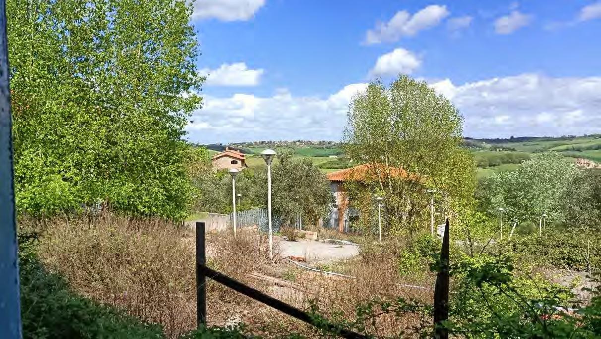 immobile terreno all'asta in Frazione PORTO, LOC GUIDONAMI SNC - Castiglione del Lago (PG) - 4