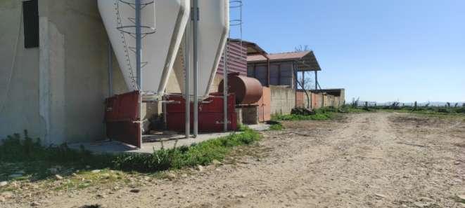 immobile terreno all'asta in Contrada Mistri snc - 94013 Leonforte (EN) - 5