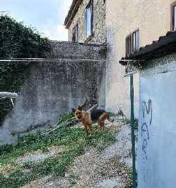 immobile appartamento all'asta in Via Alessandro Manzoni 10 - Grottolella (AV) - 3
