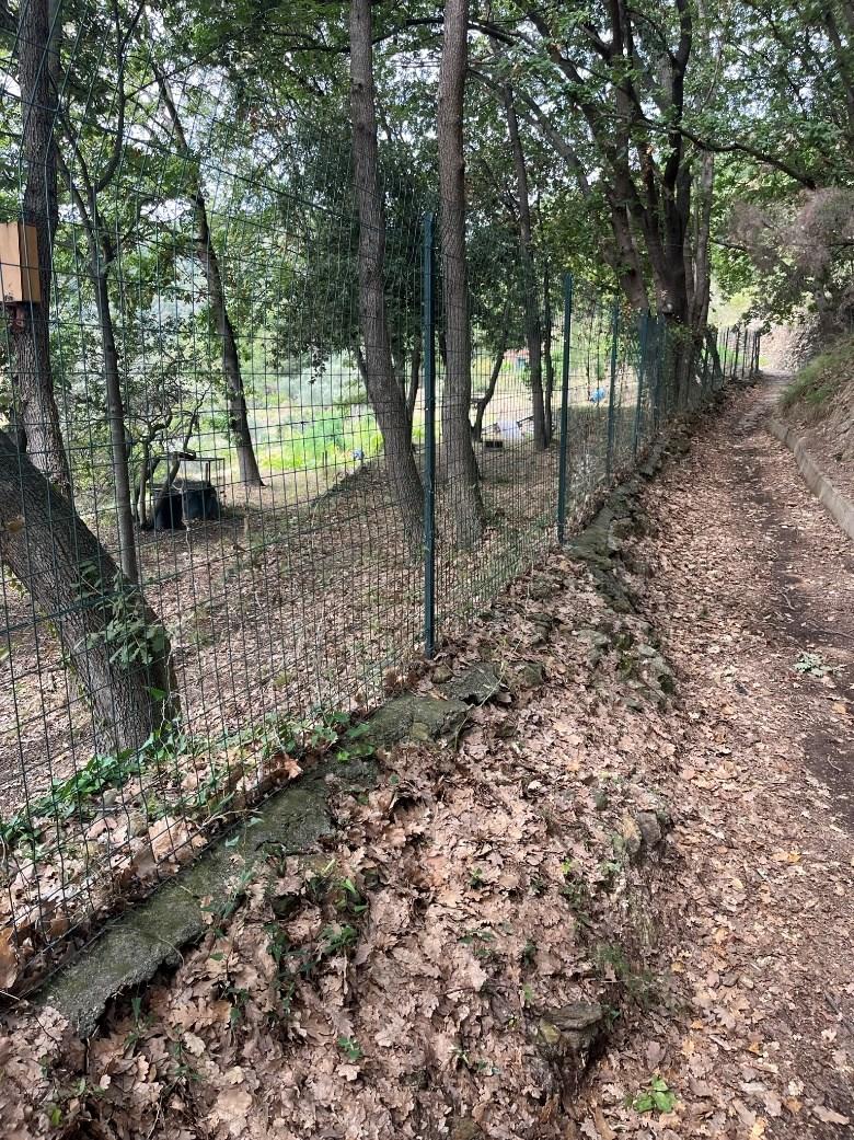 immobile terreno all'asta in 17028 Bergeggi SV, Italia Bergeggi, Savona - 2